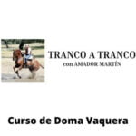 Experto en marketing y publicidad online